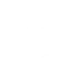 胸甲图标