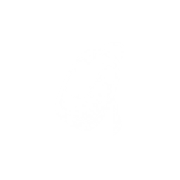 佩图标