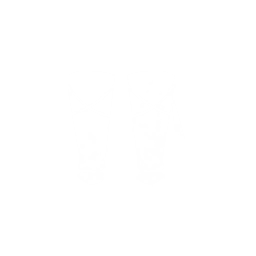 胫甲图标
