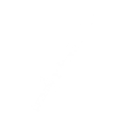 左武器图标