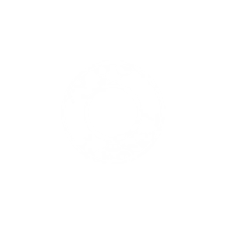 环图标