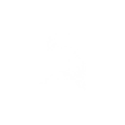 冠胄图标