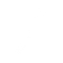 右武器图标
