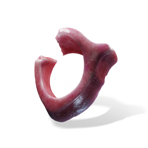缺月珏图标