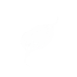 千香引魂图标