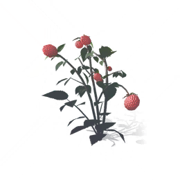 其实并图标