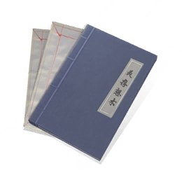 灵存想术