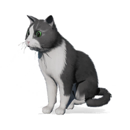 猫咪踏雪图标