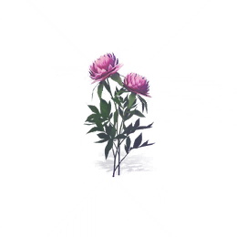 魏紫图标