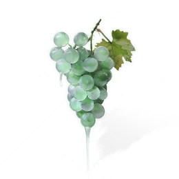 滴翠葡萄图标