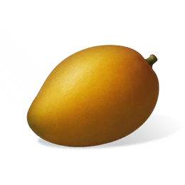 芒果