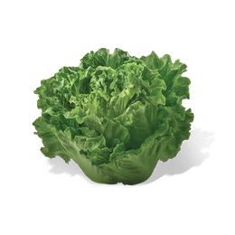 生菜图标