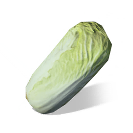 卷心菜图标