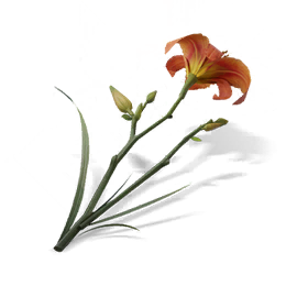 花枝