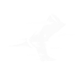 踏星逐月