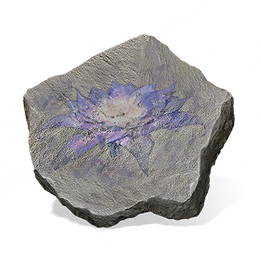 优昙婆罗花图标