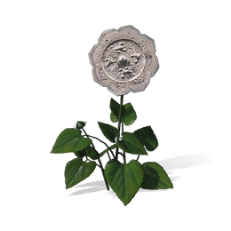 镜菱花