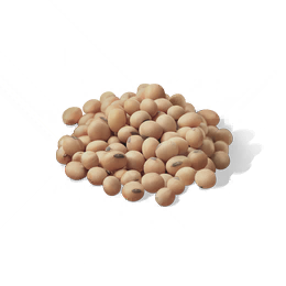 大豆图标