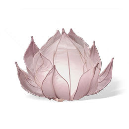 莲花灯
