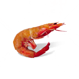 虾图标