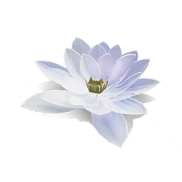 塔顶荷花图标