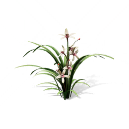 摘下杏花枝图标
