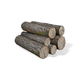 榉木