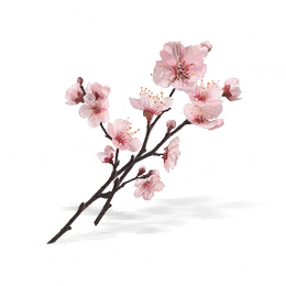 桃花枝