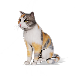 猫猫·小度·后凉州图标