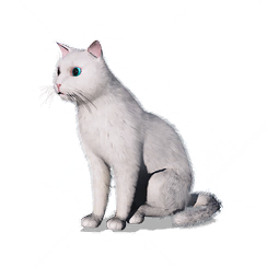 猫猫·阿桃图标