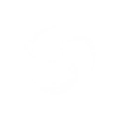 萤光晖夜