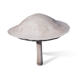 白玉月光菇图标