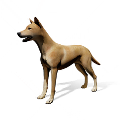 狗狗·酒蒙子图标