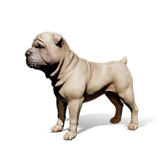 狗狗·小咪图标