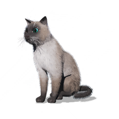 猫猫·阿藤图标