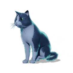 猫猫·豹尾图标