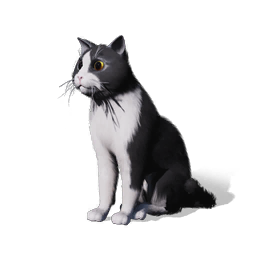 猫猫·脆脆图标