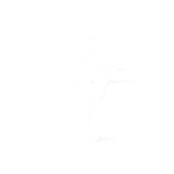 一剑千里