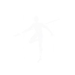 飒沓流星