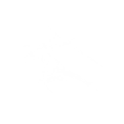 冯虚御风图标
