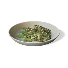 菊苗煎