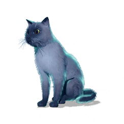 猫猫·判官