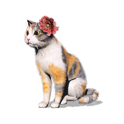 猫猫·美美图标