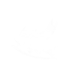 韦陀正法