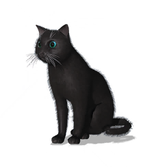 猫猫·鲤鲤图标