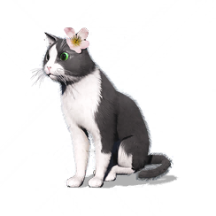 猫猫·唐妆妆