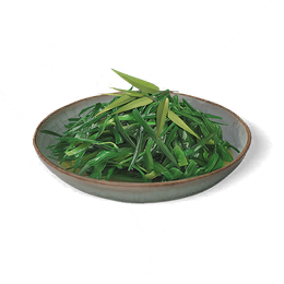 柳叶韭