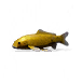 金鲤