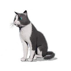 猫猫·毛毛图标