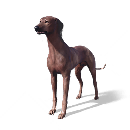 狗狗·醉醉图标
